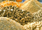 Производство комбикормов в России в 2023 выросло на 1,7% Производство комбикормов в России в 2023 выросло на 1,7%